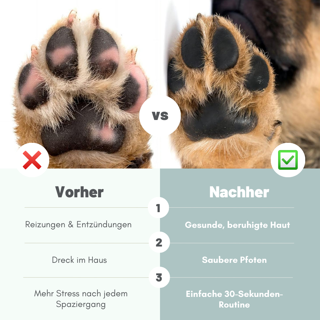 Pfotenpflegeschaum für gesunde Pfoten & ein sauberes Zuhause + GRATIS Pfotenbalsam (nur für kurze Zeit)