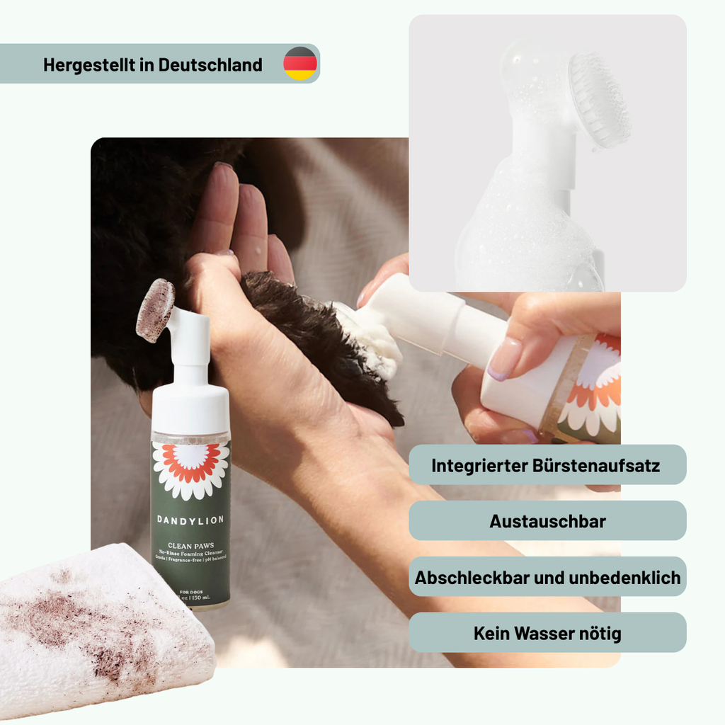 Pfotenpflegeschaum für gesunde Pfoten & ein sauberes Zuhause + GRATIS Pfotenbalsam (nur für kurze Zeit)