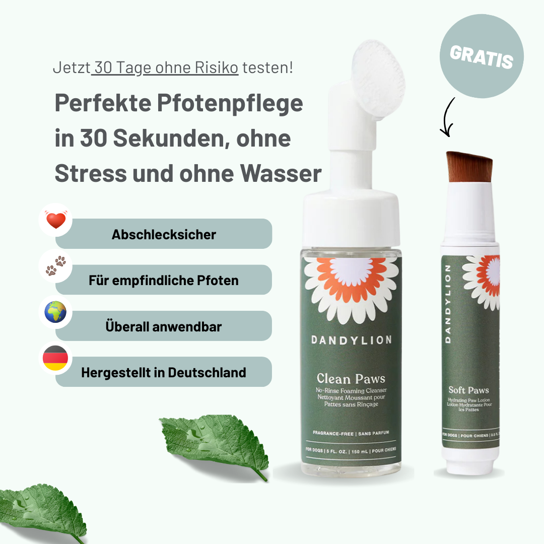 Pfotenpflegeschaum für gesunde Pfoten & ein sauberes Zuhause + GRATIS Pfotenbalsam (nur für kurze Zeit)