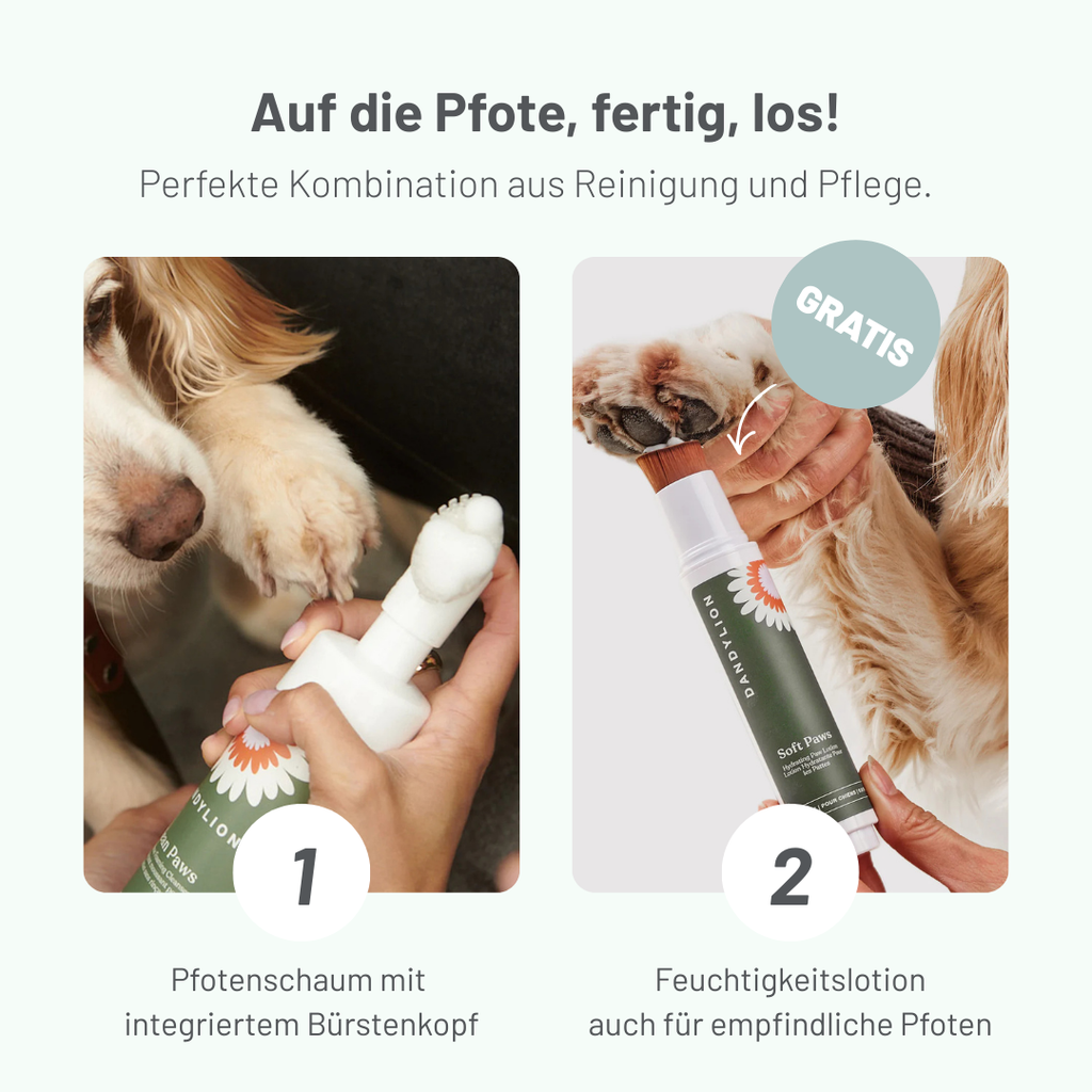 Pfotenpflegeschaum für gesunde Pfoten & ein sauberes Zuhause + GRATIS Pfotenbalsam (nur für kurze Zeit)