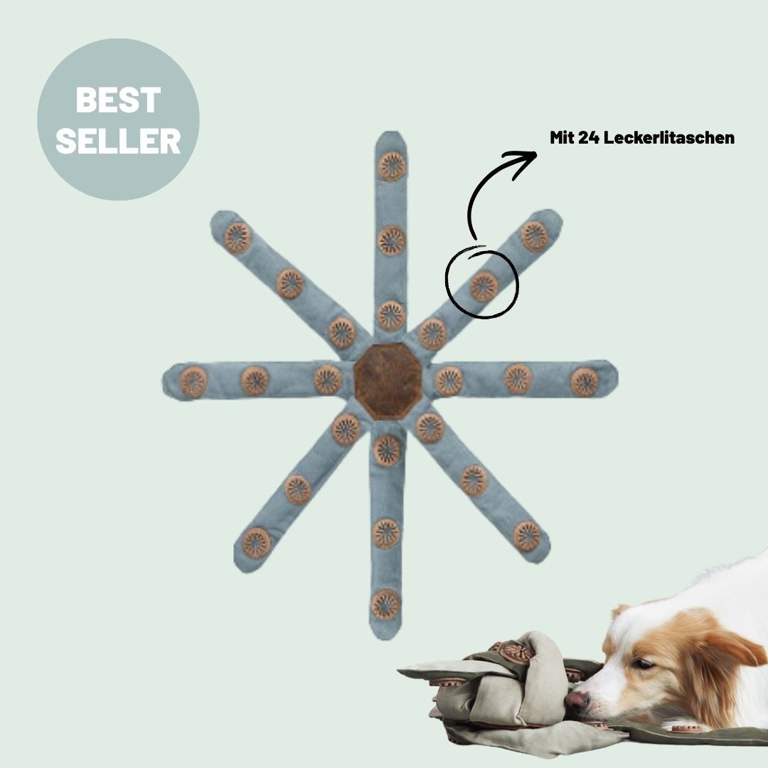 Lucky der Dogtopus: Das neue Lieblingsspielzeug für deinen Hund - Bestseller