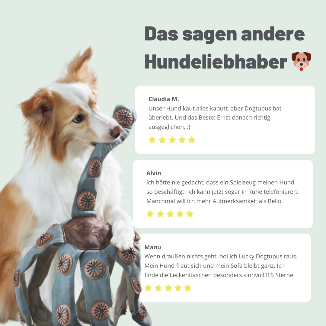 Lucky der Dogtopus: Das neue Lieblingsspielzeug für deinen Hund - Bestseller