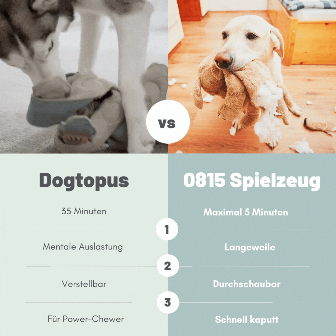 Lucky der Dogtopus: Das neue Lieblingsspielzeug für deinen Hund - Bestseller